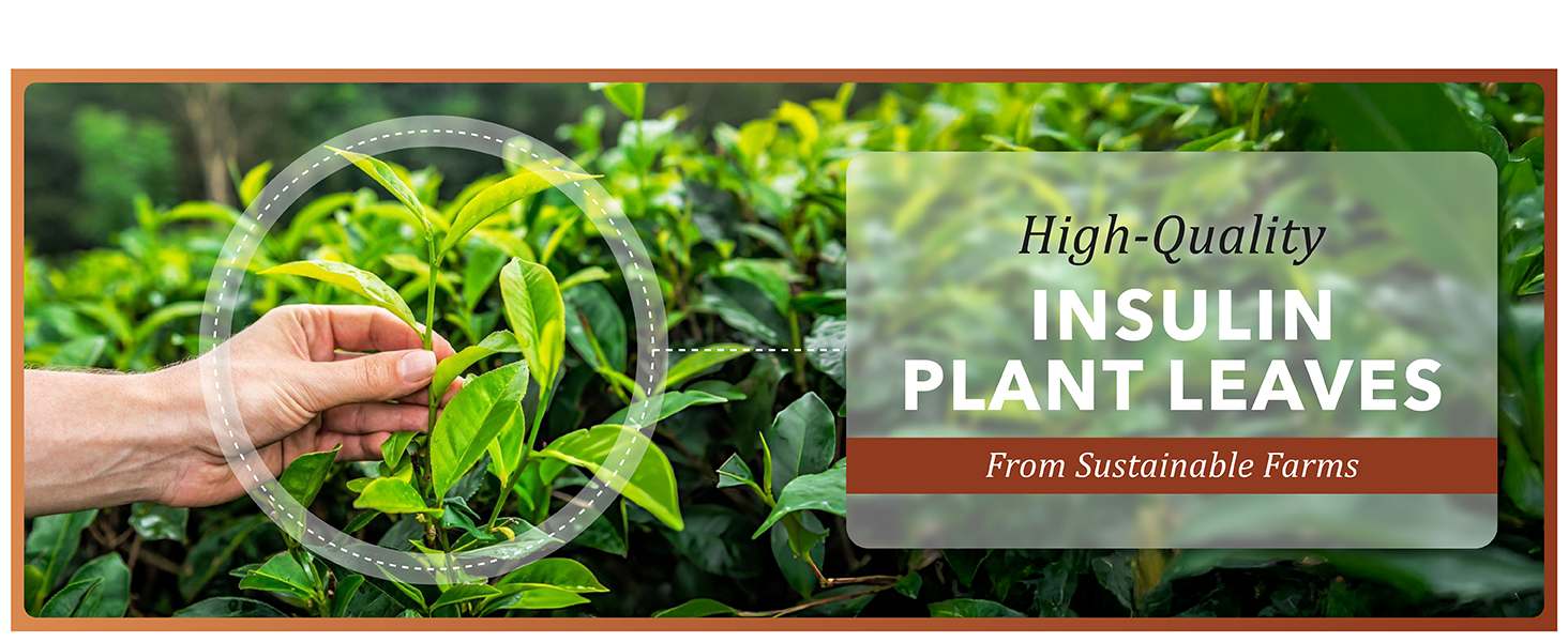 41f44a9f-00b0-4606-b3c5-9956b1c67a1b.__CR0,0,1464,600_PT0_SX1464_V1___