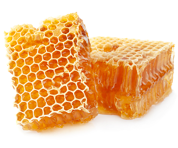 antibacterial properties of honey | True Vine Organics